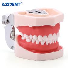 Dental Dentures
